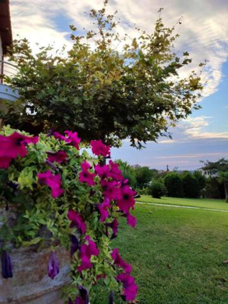 Wonderful Villa With Great View In Posidi-Kalandra Exteriér fotografie